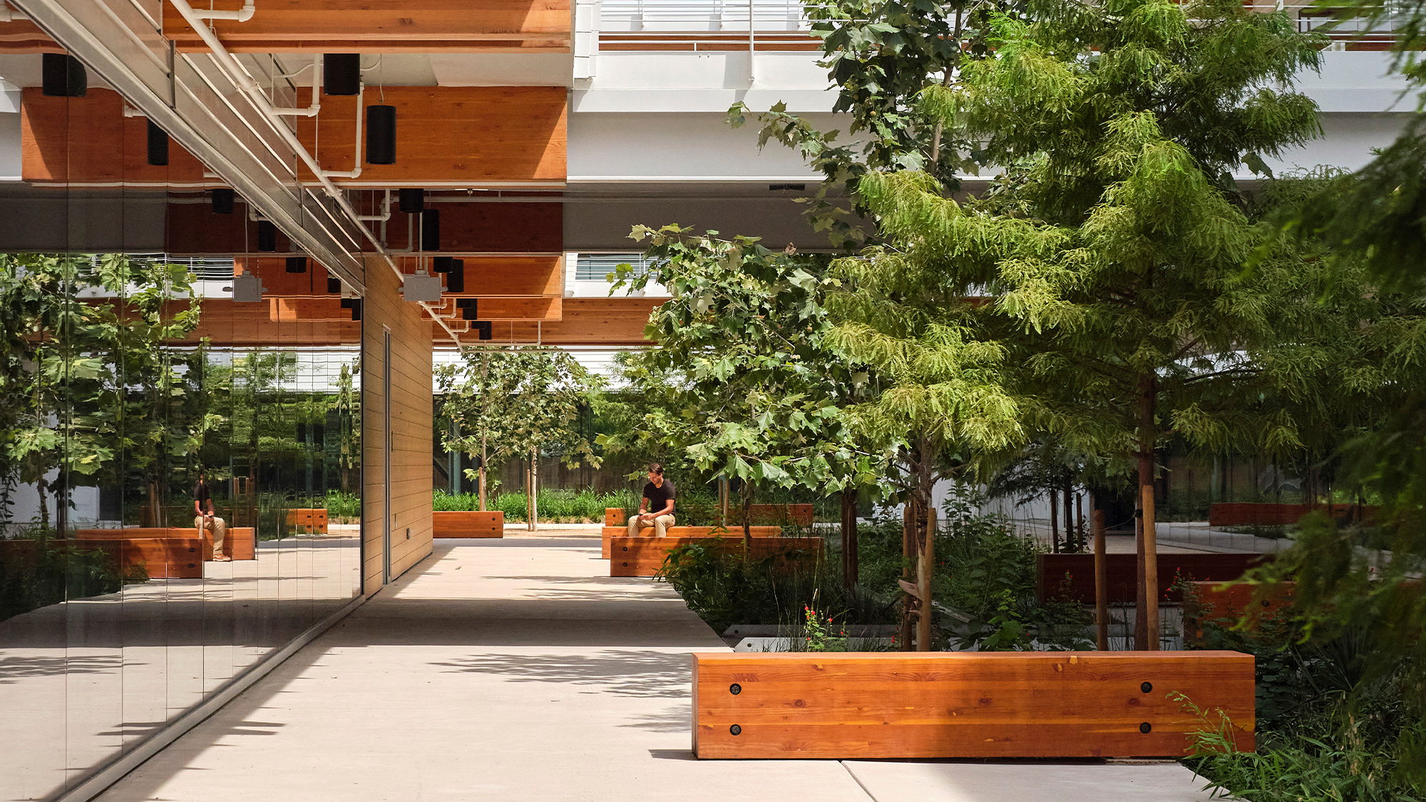 A person sitting on a bench.